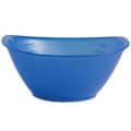 Portion Bowl