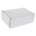 8X6 Full Color Mailer Box