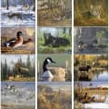 Wildlife Art 2023 Calendar