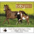Spiral Baby Farm Animals Lifestyle 2023 Appointment Calendar