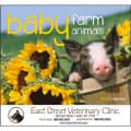 Baby Farm Animals Stapled 2023 Calendar