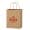 Kraft Paper Brown Shopping Bag - 8" x 10-1/4"