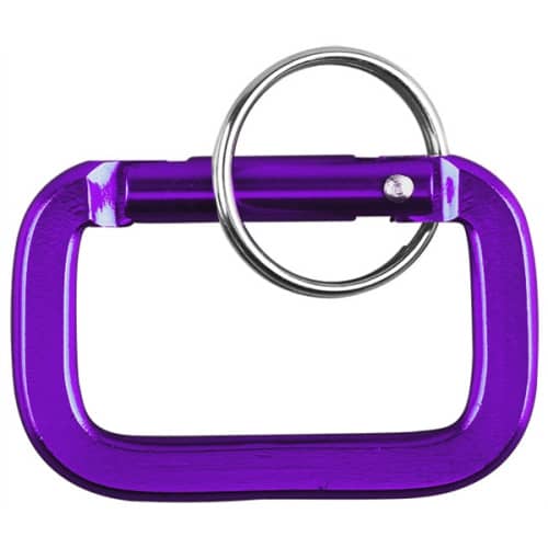 Carabiner with Key Ring