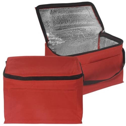 6-Pack Personal Cooler Bag