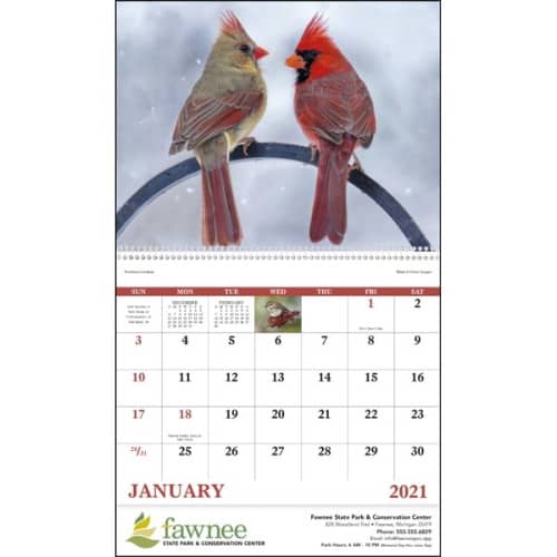 Spiral Birds of North America 2023 Appointment Calendar