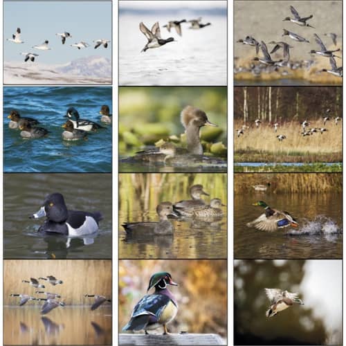 Stapled Waterfowl 2023 Appointment Calendar