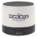 Wireless Mini Cylinder Speaker