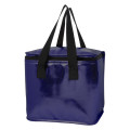 Major Metallic Cooler Bag