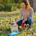 Crunch-It Dog Toy