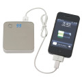 Portable Dual-Port Charger