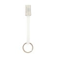Keychain Dual USB Charging Cable