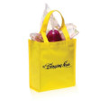 Non-Woven Small Gift Bags