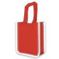 Reflective Lunch Tote Bag