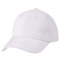 Price Buster Cap