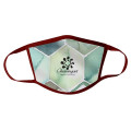 2-Ply Polyester Mask