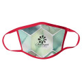 2-Ply Polyester Mask