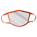2-Ply Polyester Mask