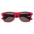 Polarized Malibu Sunglasses
