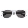 Polarized Malibu Sunglasses