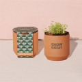 Modern Sprout® Tiny Terracotta Grow Kit Good Luck Clover
