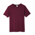 Adult Fusion ChromaSoft Performance T-Shirt