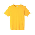 Adult Fusion ChromaSoft Performance T-Shirt