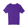 Adult Fusion ChromaSoft Performance T-Shirt