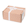 Corkcicle® Welcoming Wonder Tumbler Gift Box