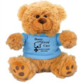 6  Plush Teddy Bear With Choice of T-Shirt Color