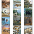 Triumph® Calendars Wildlife Art Calendar
