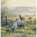 Triumph® Calendars Wildlife Art Calendar