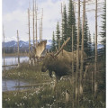 Triumph® Calendars Wildlife Art Calendar