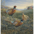 Triumph® Calendars Wildlife Art Calendar