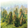Triumph® Calendars World Scenic Calendar