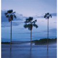 Triumph® Calendars World Scenic Calendar
