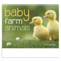 Baby Farm Animals - Spiral
