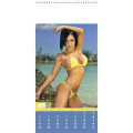 Triumph® Calendars Swimsuits Calendar