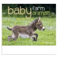 Good Value™ Baby Farm Animals - Stapled Calendar