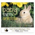 Good Value™ Baby Farm Animals - Stapled Calendar