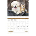 Good Value™ Baby Farm Animals - Stapled Calendar