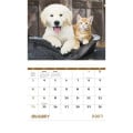 Good Value™ Baby Farm Animals - Stapled Calendar