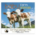 Good Value™ Baby Farm Animals - Stapled Calendar