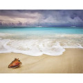 Products Beaches Appointment Calendar - Stapled