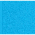 BIC® PrevaGuard® Clic Stic® Pen