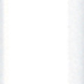 BIC® PrevaGuard® Clic Stic® Pen