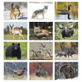 Products Wildlife Appointment Calendar - Stapled