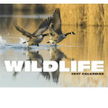 Products Wildlife Appointment Calendar - Stapled
