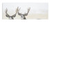Products Wildlife Appointment Calendar - Stapled
