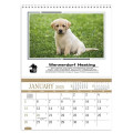 Triumph® Calendars Recipe Pocket Calendar