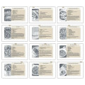 Triumph® Calendars Recipe Pocket Calendar